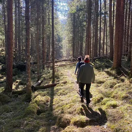 Hagabrekka Wanderland Luxury tent Flatdal